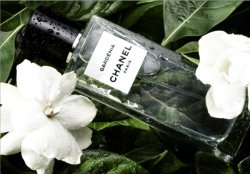 Аромат Sonia Rykiel Le Parfum – олицетворение богемной роскоши