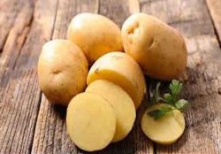 Выращивание овощных культур. Покупка картошки семенной