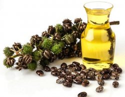Касторовое масло: полезные свойства и покупка в интернет-магазине Vedamarket