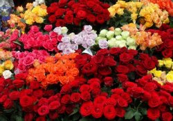 Доставка цветов в Красноярск 24 часа