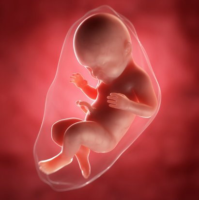 Передчасне відшарування плаценти: що потрібно знати майбутній мамі і як не пропустити її ознаки