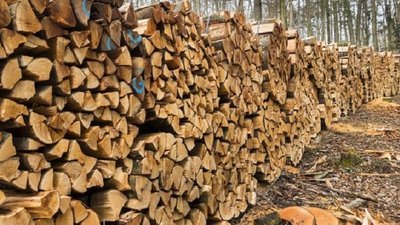 Які найкраще дрова підійдуть для опалення?
