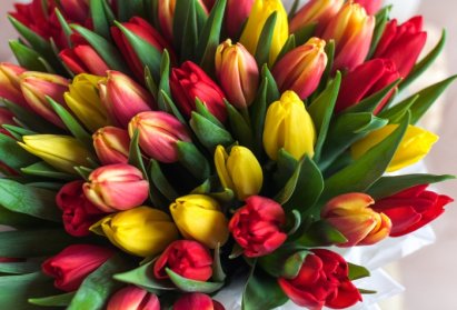 Выбираем букеты цветов на 8 марта в Бресте