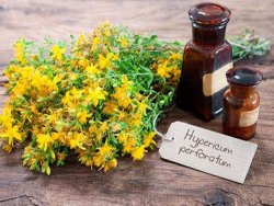 Зверобой для дам: гид по безопасности