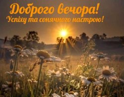 Вечірній контент у соцмережах: як сторіс і прості жести формують лояльність